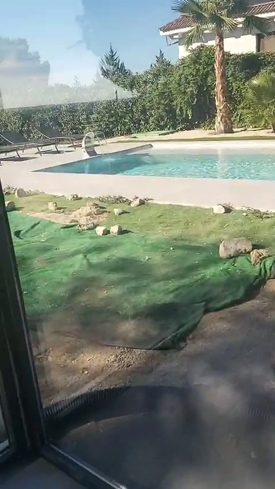 La piscina del chalet vista desde el cerramiento de cristal del pabellón